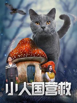 全集在线观看