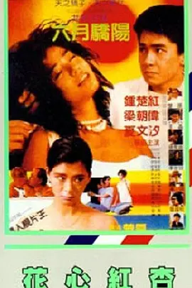 DVD高清完整版