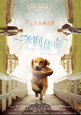 陈柏霖 《诡才之道》曝片段2025-03-04 《诡才之道》曝片段 鬼才揭开人间社会生存焦虑2025-02-28 王净上演天降鬼才！